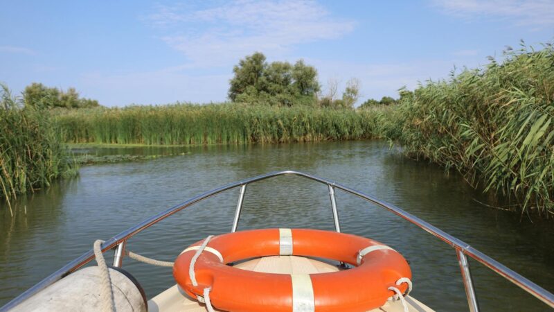 Savaitgalis Šilutėje ir Nemuno deltoje: ką pamatyti, paragauti ir kaip suplanuoti išvyką