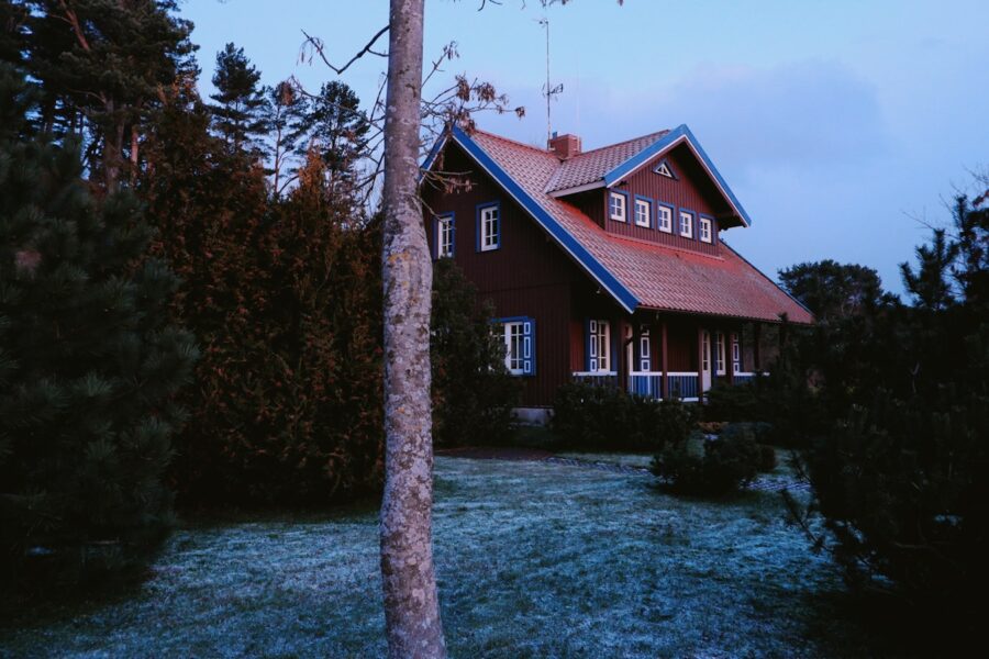 Pagrindinė iliustracija