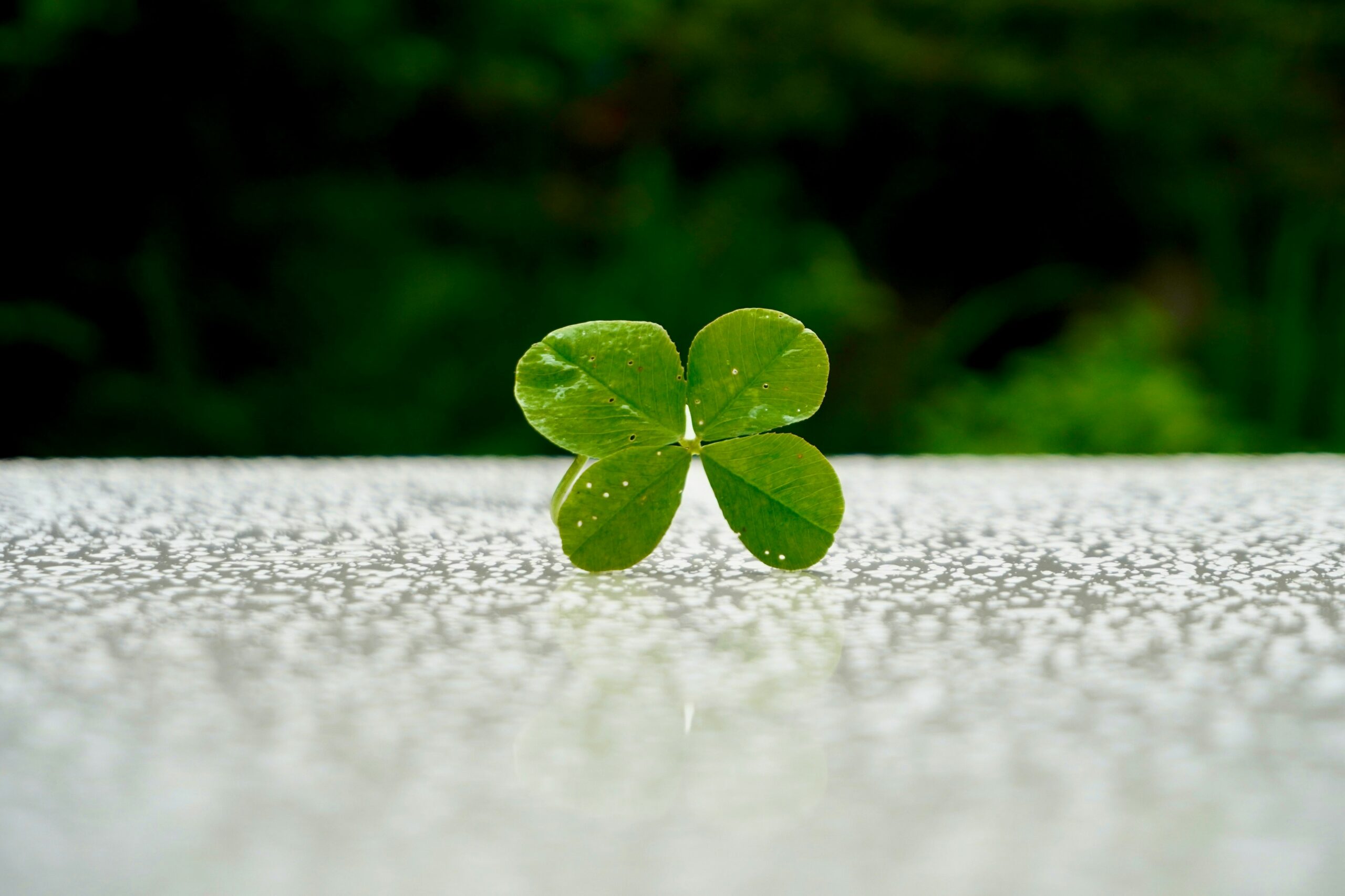 Sėkmė. Unsplash nuotr
