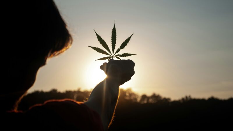 Kas iš tikrųjų vyksta smegenyse pavartojus kanapių? Mokslas pateikia atsakymus