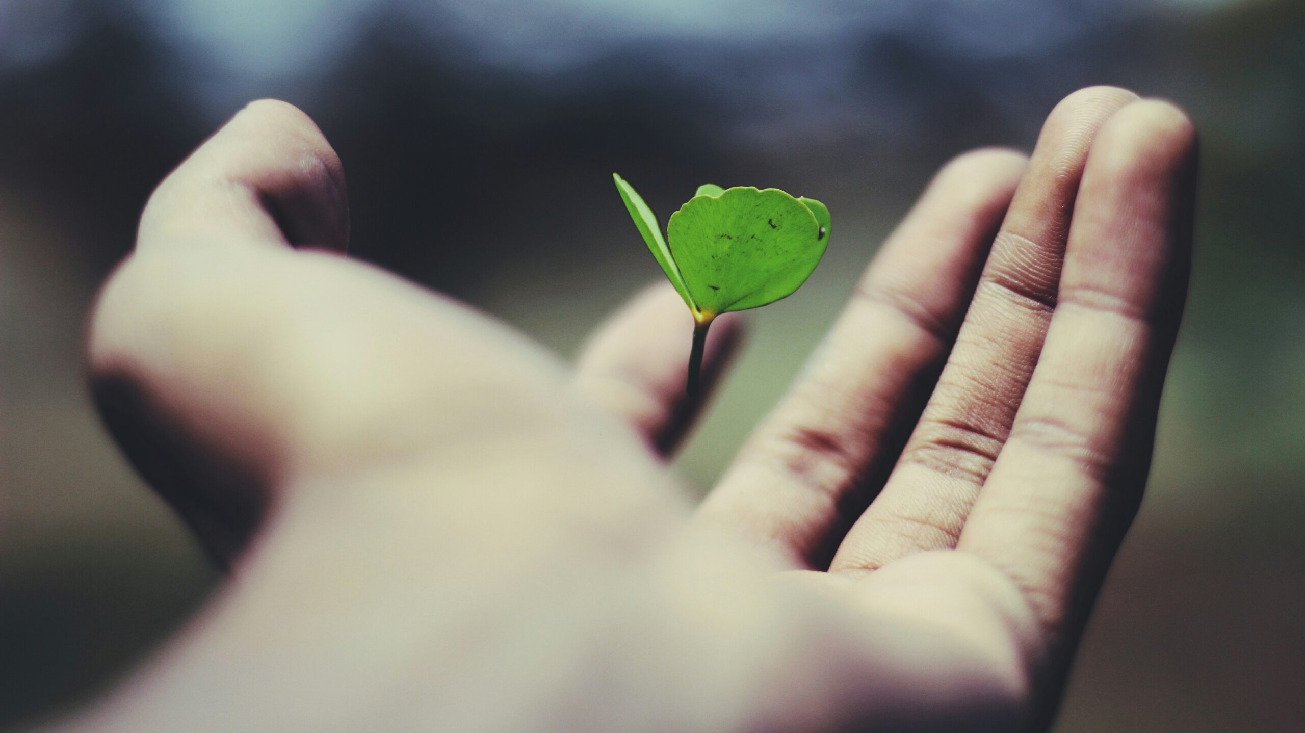 Gyvenimas. Unsplash nuotr
