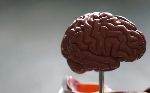 Neuromokslininkai įspėja: šie kasdieniai įpročiai tyliai silpnina smegenis ir atima gebėjimą susikaupti