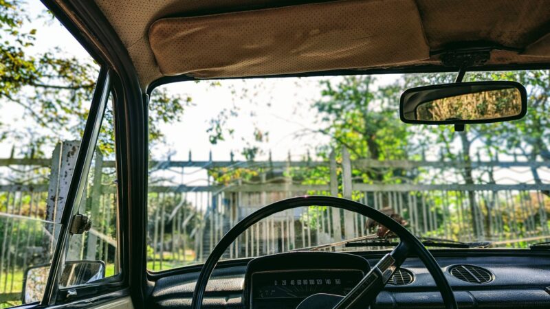 Vasaros karščiai ir automobilis: kaip apsaugoti saloną, sveikatą ir sumažinti kondicionieriaus sąnaudas