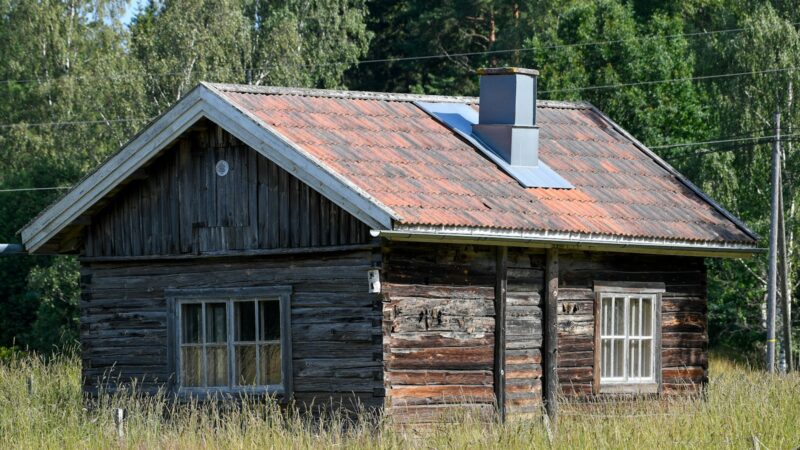 Žemaitijos kaimų atgimimas: kaip senosios sodybos tampa savaitgalio traukos vietomis ir keičia regioną