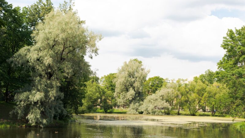 Žemaitijos parkų lobynas Plungėje: kaip buvęs dvaras, upė ir kultūros erdvės tampa traukos vieta visiems
