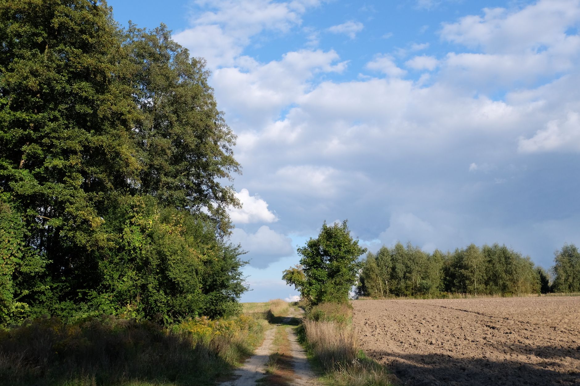 Teminė iliustracija