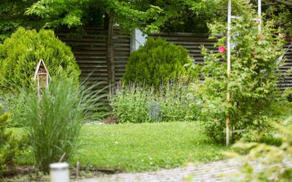 Kaip Suvalkijos miestelio sodai kuria savitą kraštovaizdį: Marijampolės apylinkių kiemų tradicijos ir pokyčiai