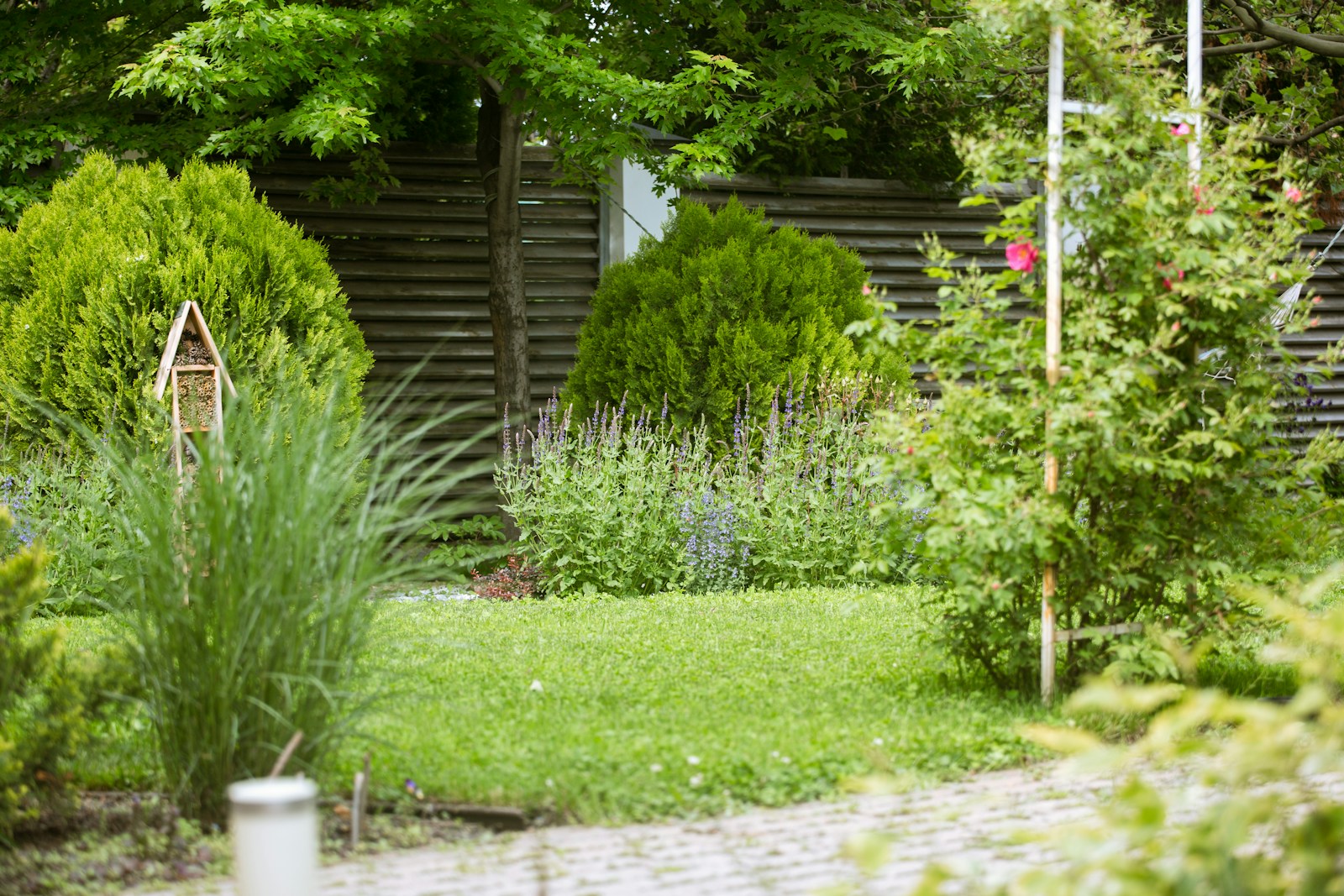 Kaip Suvalkijos miestelio sodai kuria savitą kraštovaizdį: Marijampolės apylinkių kiemų tradicijos ir pokyčiai