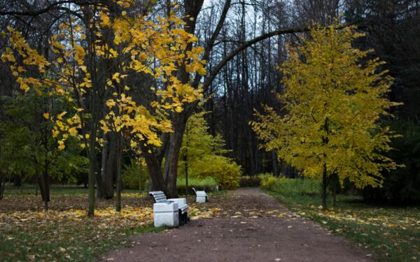 Kokį rudens tempą sau nešate iš savo gimimo datos: 12 astrologinių nuotaikų scenarijus nuo rugsėjo iki lapkričio