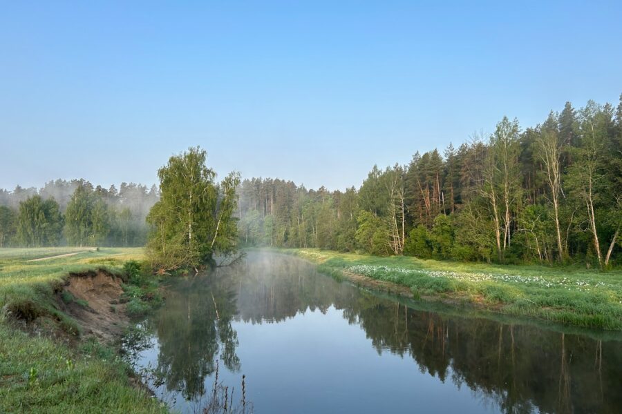 Pagrindinė iliustracija