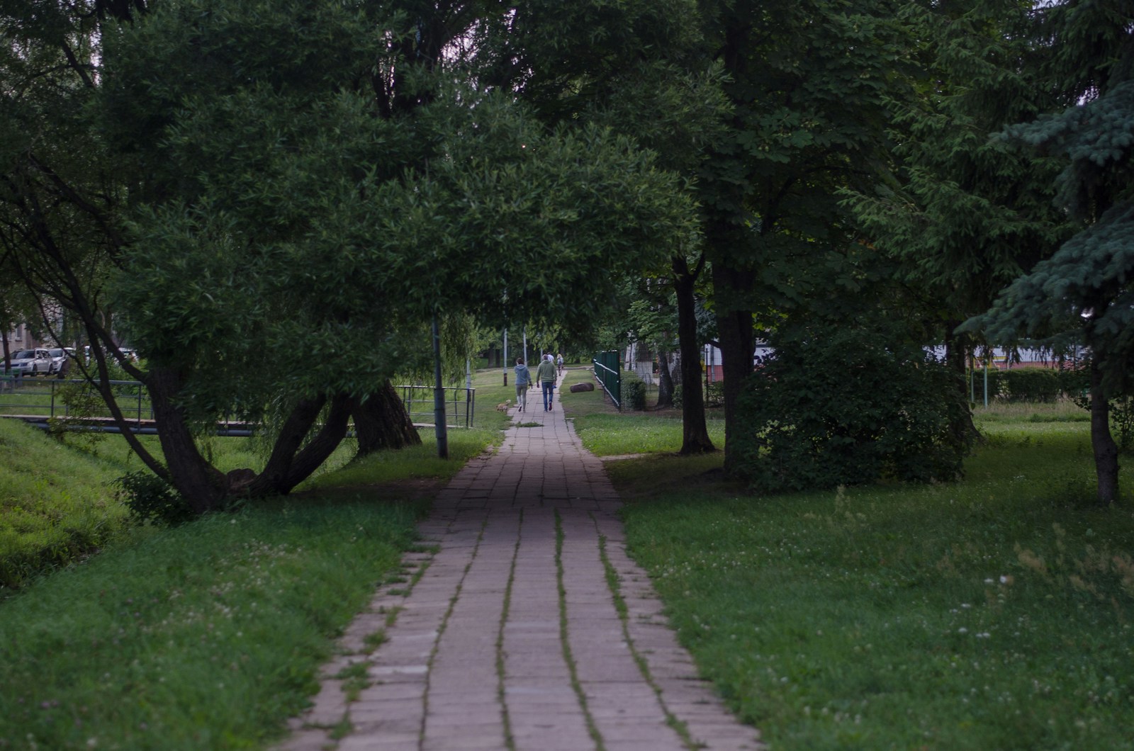 Teminė iliustracija