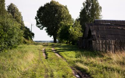 Rokiškio rajono kaimai prie Latvijos sienos: kaip pasienio kasdienybė kuria savitą gyvenimo ritmą