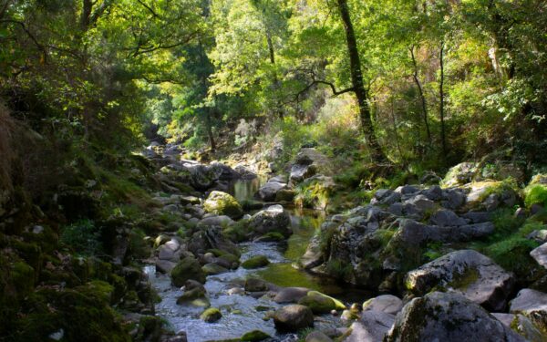 Slapti žaliosios sostinės kampeliai: 7 mažiau žinomi Vilniaus gamtos takai ramiam savaitgalio pabėgimui