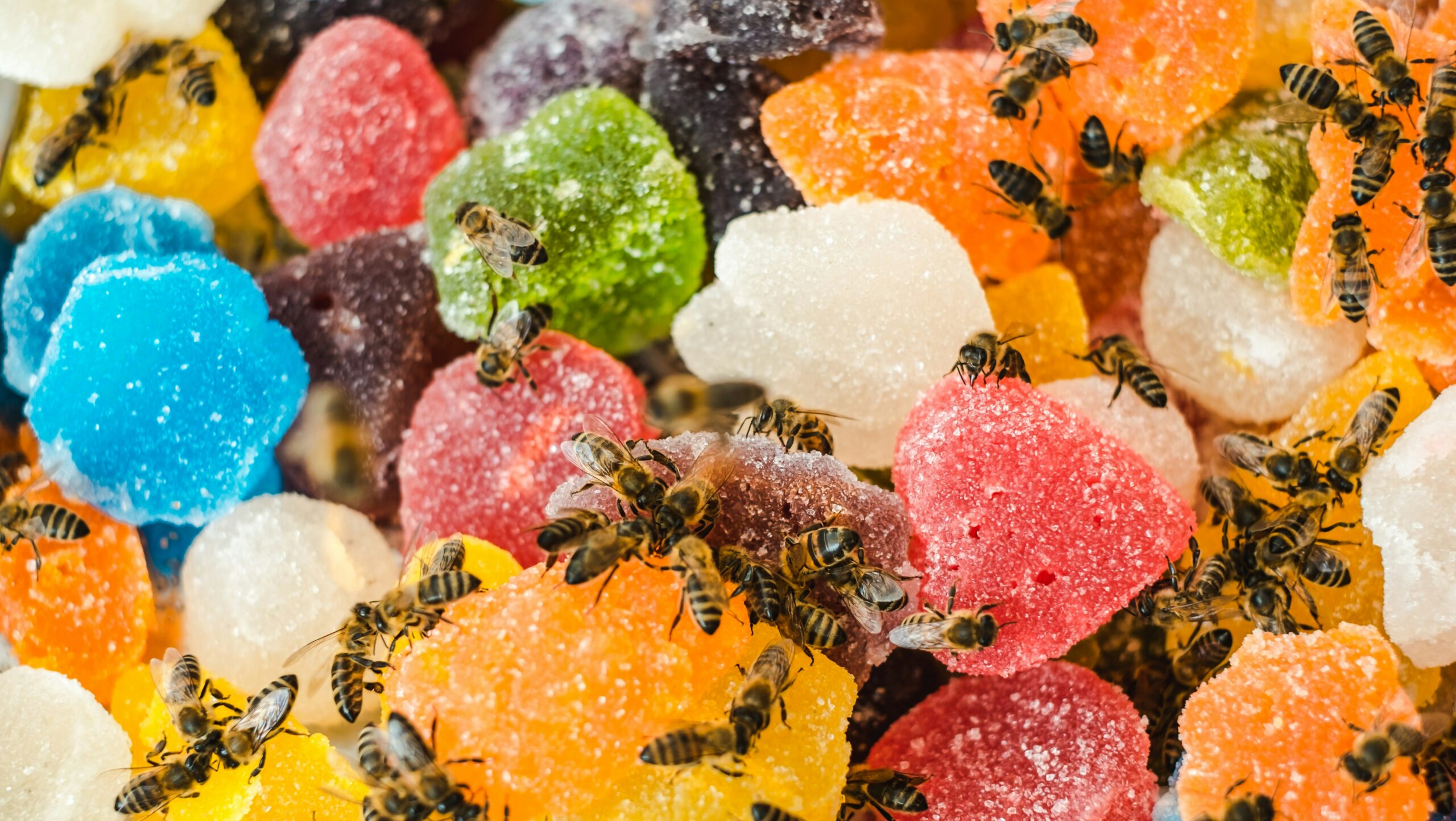 Muskitas ant maisto. Unsplash nuotr