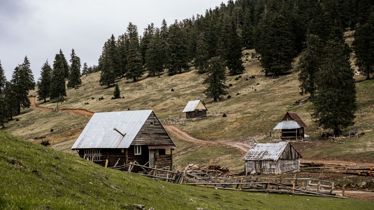 Atrask Dzūkijos miško kaimelius: ką pamatyti Šklėriuose, Musteikoje ir aplinkiniuose vienkiemiuose