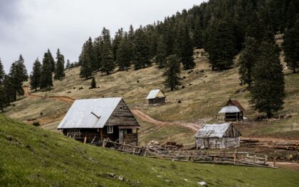 Atrask Dzūkijos miško kaimelius: ką pamatyti Šklėriuose, Musteikoje ir aplinkiniuose vienkiemiuose