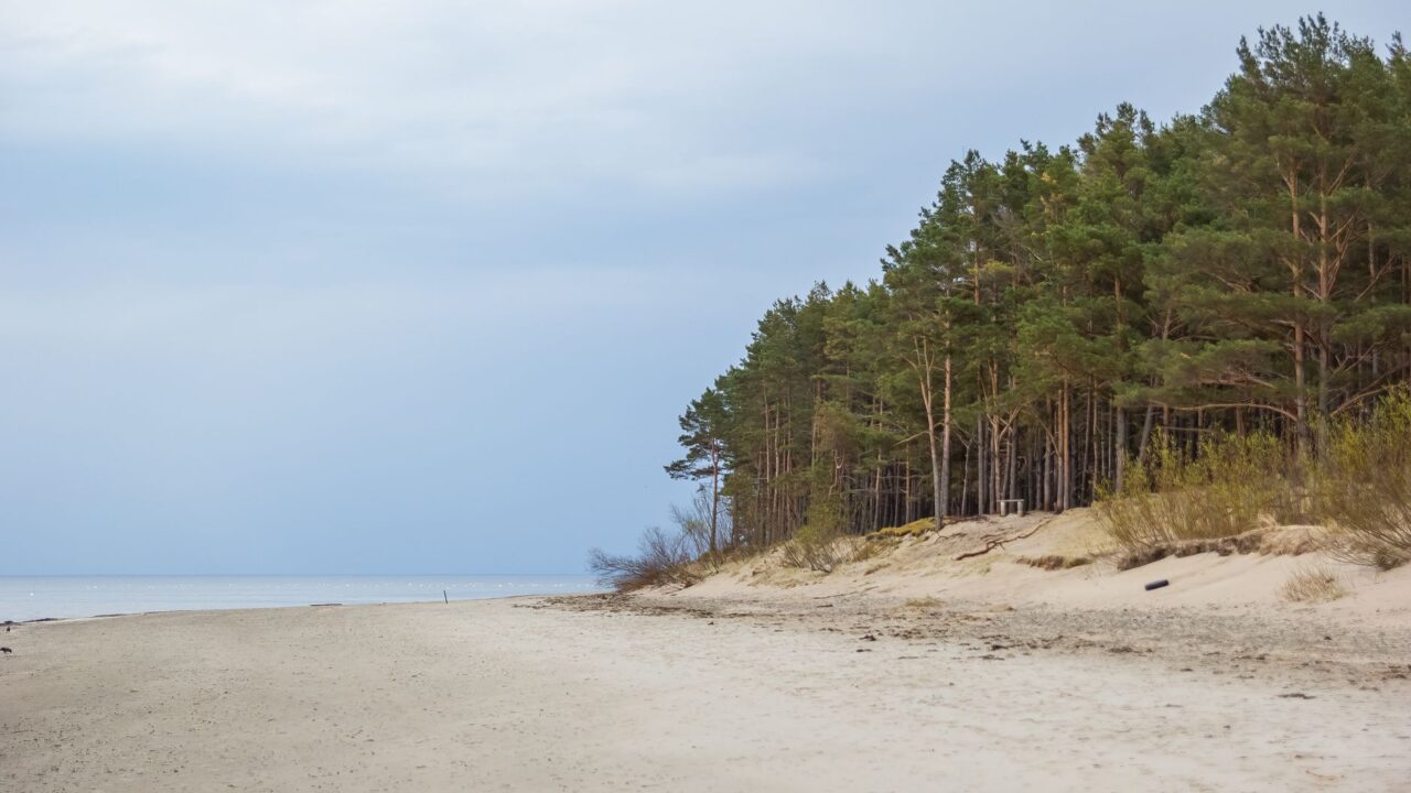 Atraskite Dzūkijos vandens takus: nuo Ūlos atodangos iki Zervynų kaimo per vienos dienos maršrutą