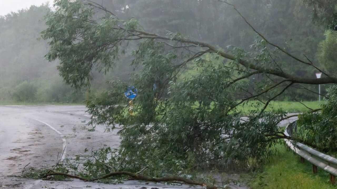 Jurbarko rajone šalinami audros padariniai: gyventojų prašoma kantrybės ir atsargumo