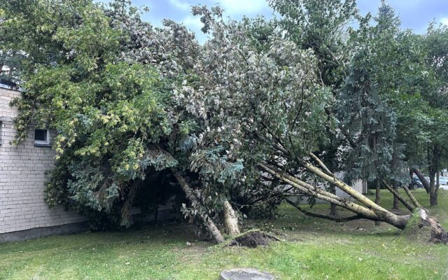 Prienų rajone skaičiuojami audros nuostoliai, tūkstančiai žmonių vis dar be elektros