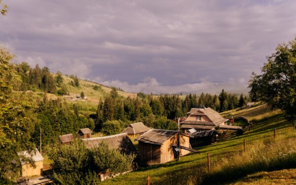 Dzūkiškos šnektos tarp miškų ir smėlynų: kaip regiono tarmė keičiasi ir ką dar galime išsaugoti