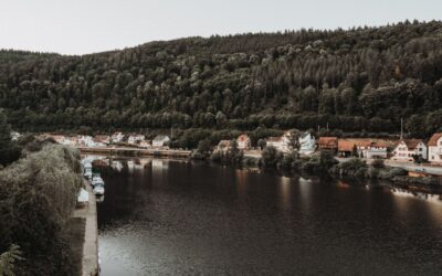 Gyvenimas prie Nemuno kilpų: kaip Prienų kraštas ramiai auga tarp kurorto ambicijų ir tylos
