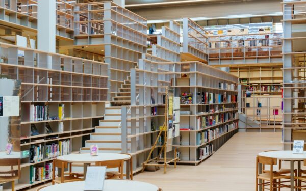 Kaimo bibliotekos atgimsta: kaip mažų miestelių skaityklos tampa bendruomenių širdimi ir gelbsti nuo uždarumo
