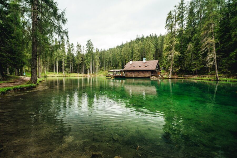 Pagrindinė iliustracija