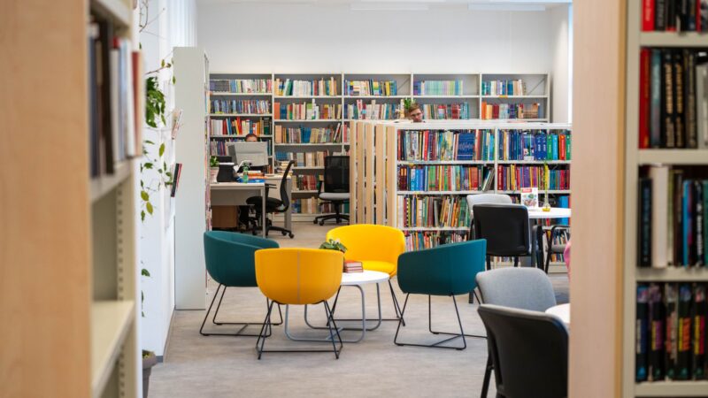 Kaimų bibliotekų renesansas: kaip mažų bendruomenių knygų namai tampa vietos gyvenimo centru