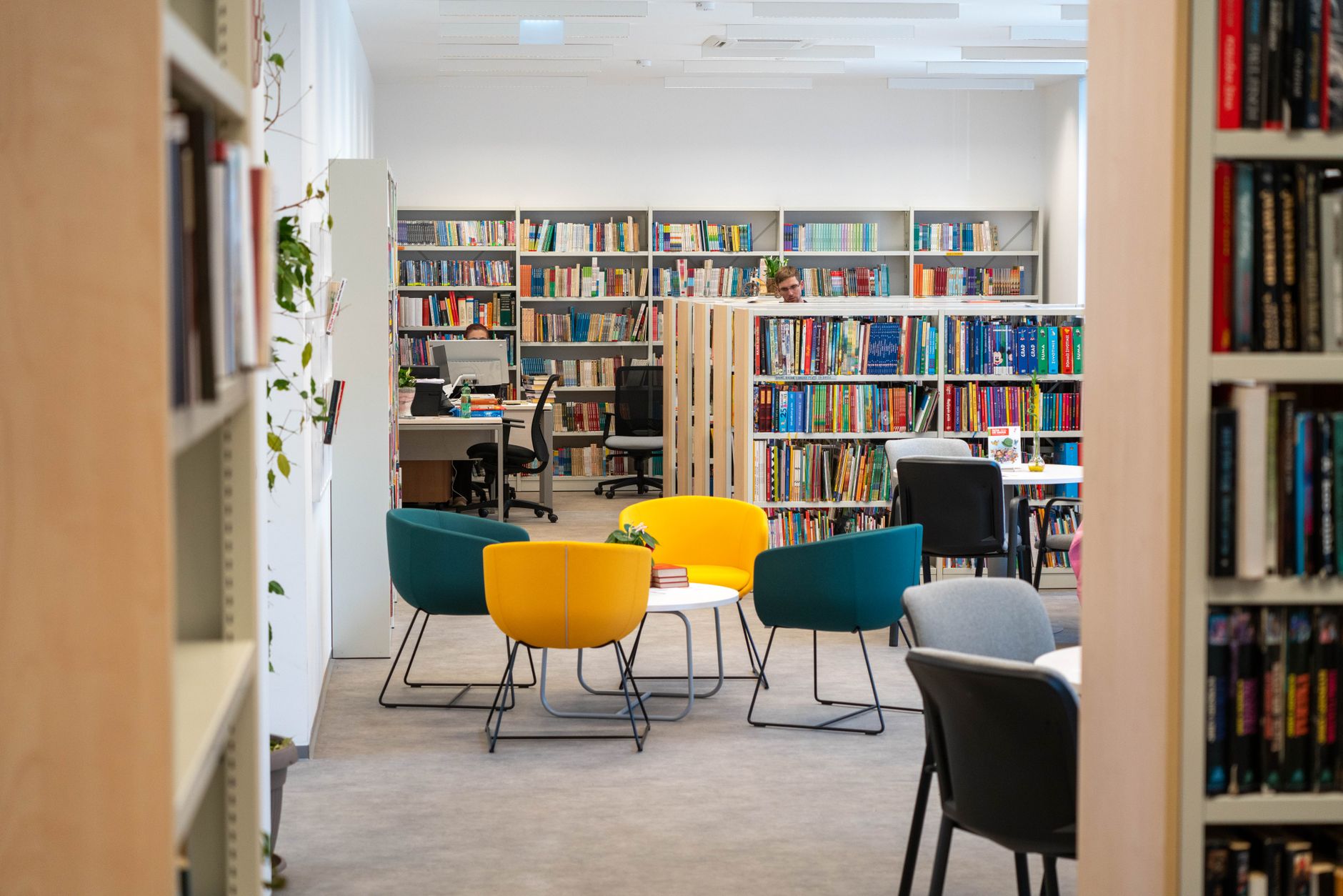 Kaimų bibliotekų renesansas: kaip mažų bendruomenių knygų namai tampa vietos gyvenimo centru