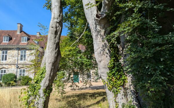 Kauno rajono Jokūbavo dvaras ir parkas: tylusis Žemaitkiemio krašto traukos taškas netoli miesto šurmulio