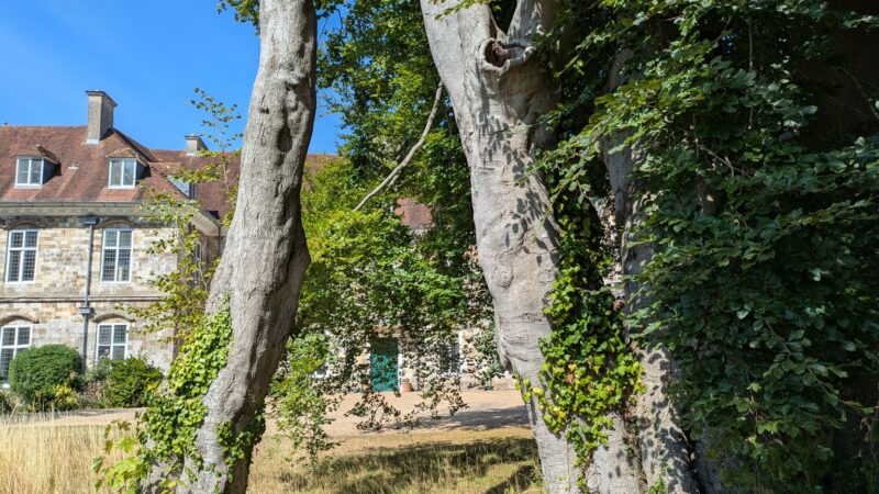 Kauno rajono Jokūbavo dvaras ir parkas: tylusis Žemaitkiemio krašto traukos taškas netoli miesto šurmulio