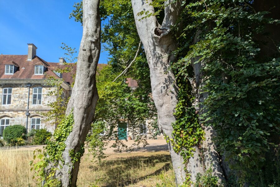 Pagrindinė iliustracija