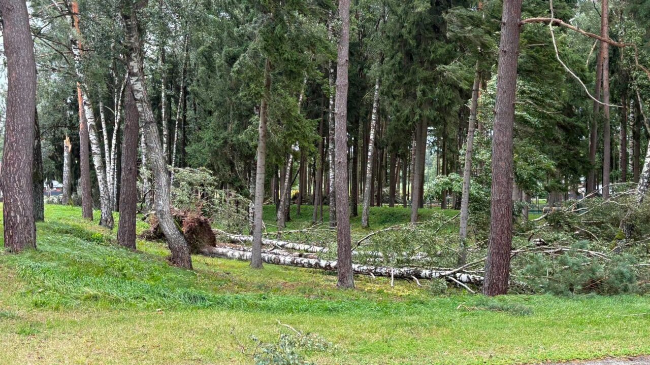 Kazlų Rūdos meras kreipėsi į gyventojus: keliai nepravažiuojami, neveikia geležinkelio pervažos