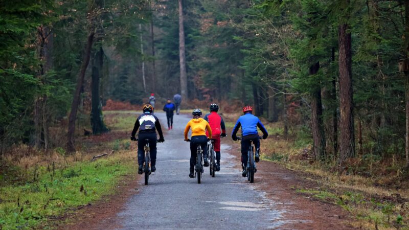 Lėtasis dviračių maršrutas savaitgaliui: kaip susiplanuoti ramią išvyką be sportinių ambicijų ir streso
