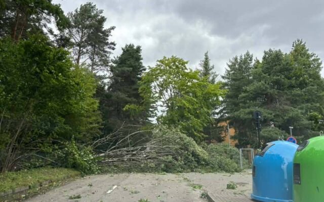 Svarbi žinia Rokiškio rajono gyventojams: vis dar neturintys elektros gali gauti generatorių