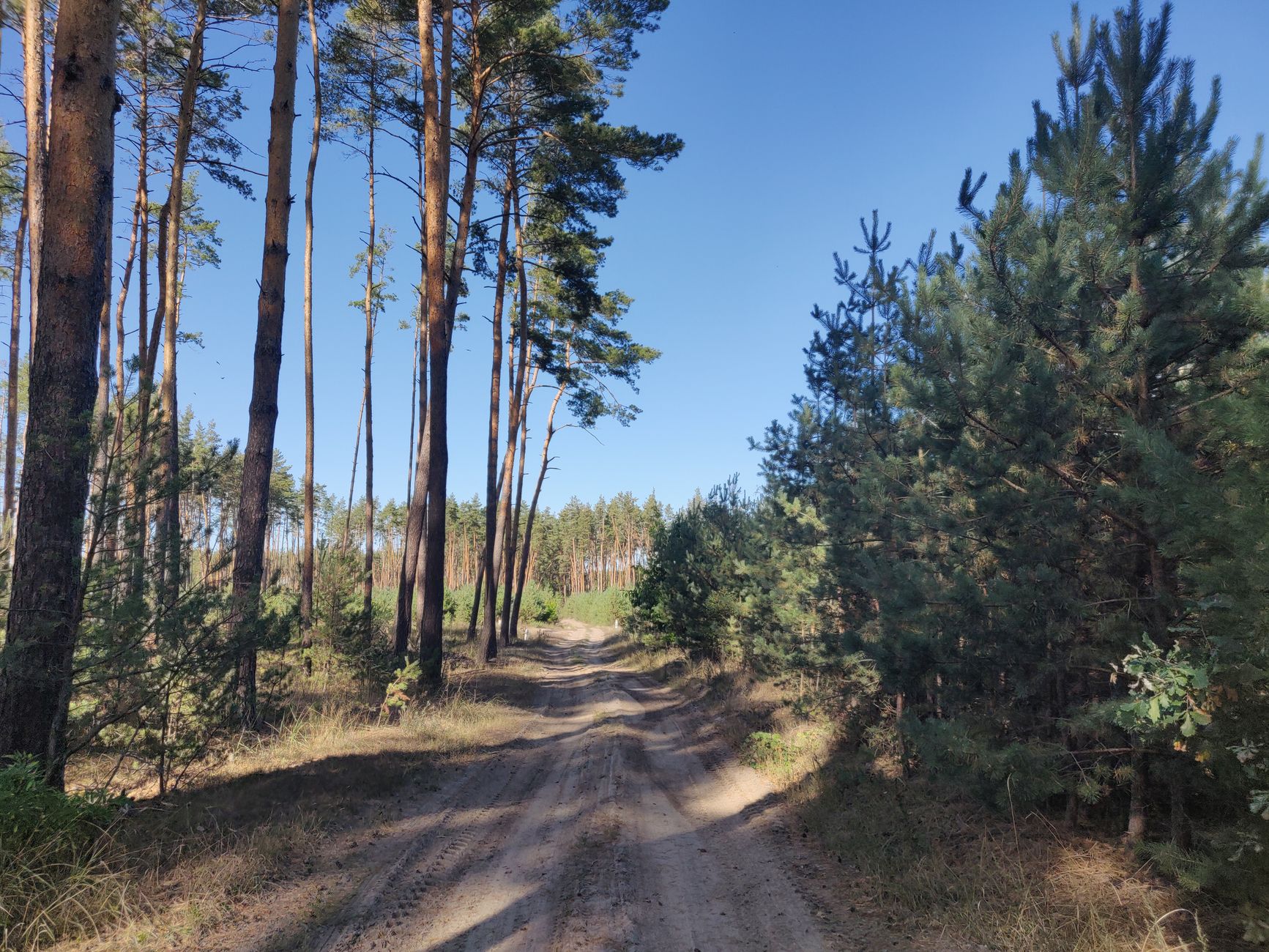 Teminė iliustracija