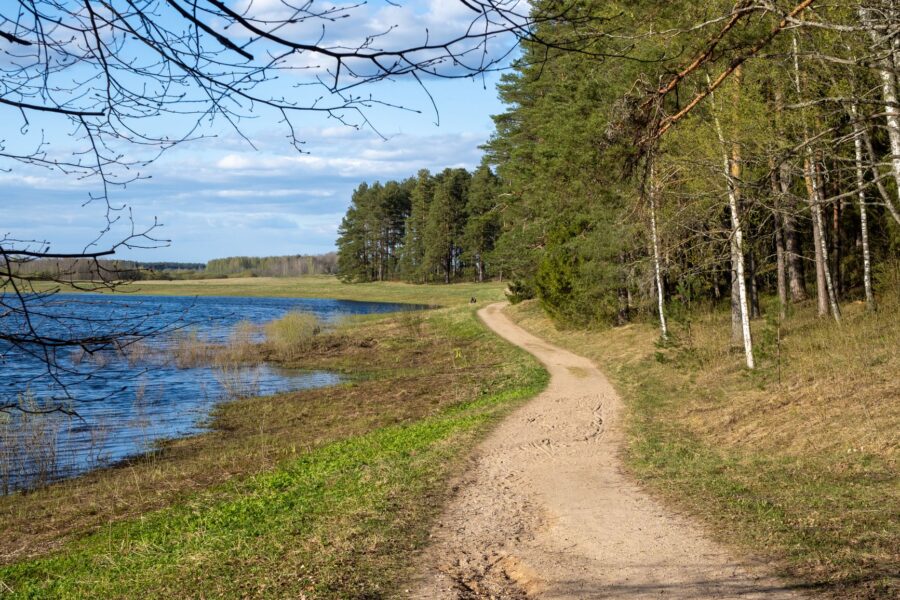 Pagrindinė iliustracija