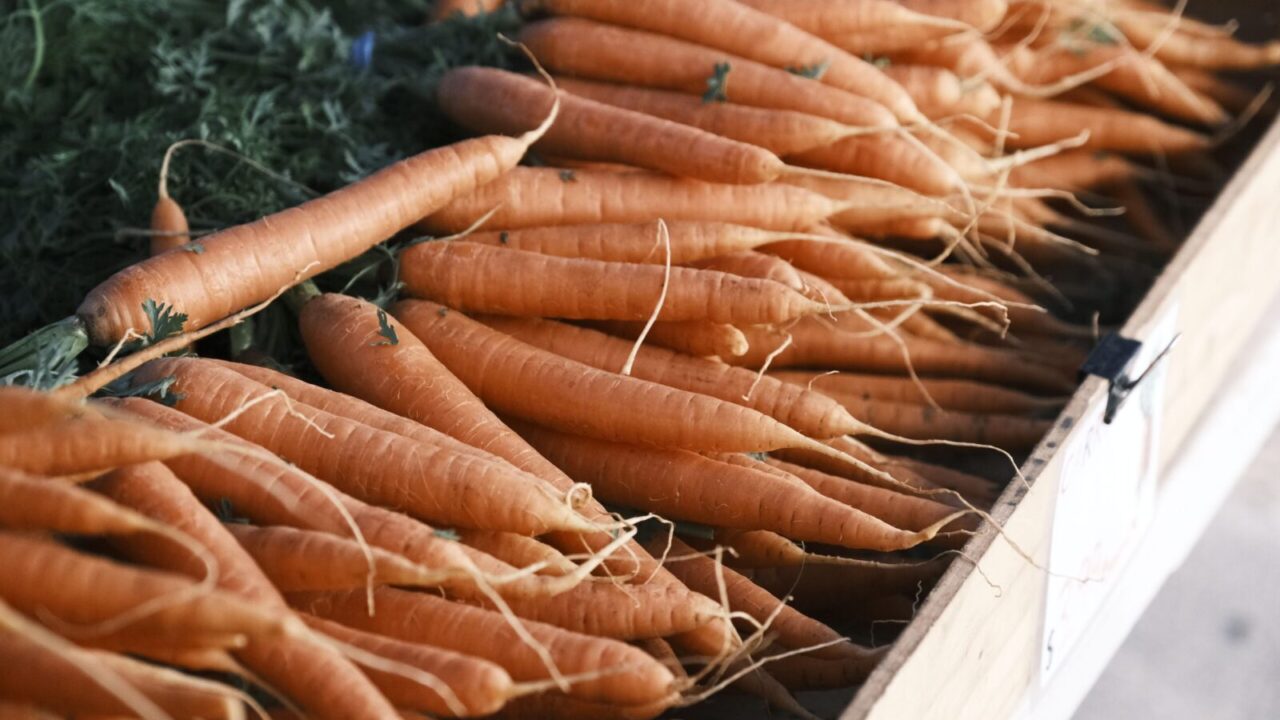 Nuo paskutinio laistymo iki tinkamo laikymo: sužinokite, kaip morkas paruošti žiemai
