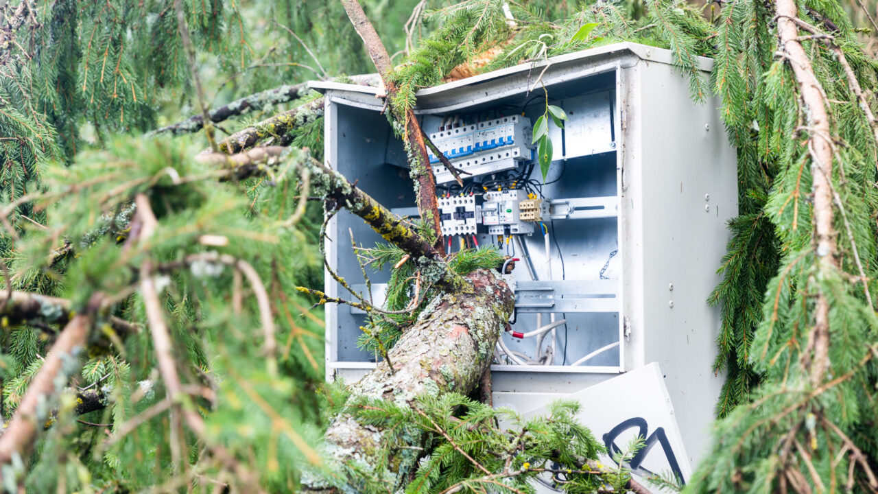 Svarbi žinia be elektros likusiems gyventojams: pinigus bus galima gauti ne tik už sugedusį maistą