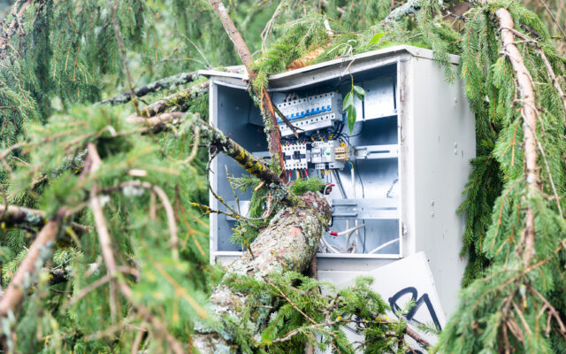 Svarbi žinia be elektros likusiems gyventojams: pinigus bus galima gauti ne tik už sugedusį maistą