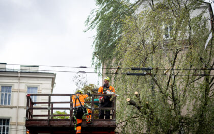 Po audros galite likti be draudimo išmokų: įvardintos klaidos, kurios kainuoja tūkstančius