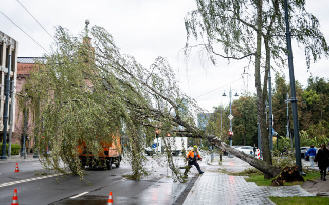 Lietuvos savivaldybėje skelbiama ekstremalioji situacija: tūkstančiai žmonių vis dar be elektros