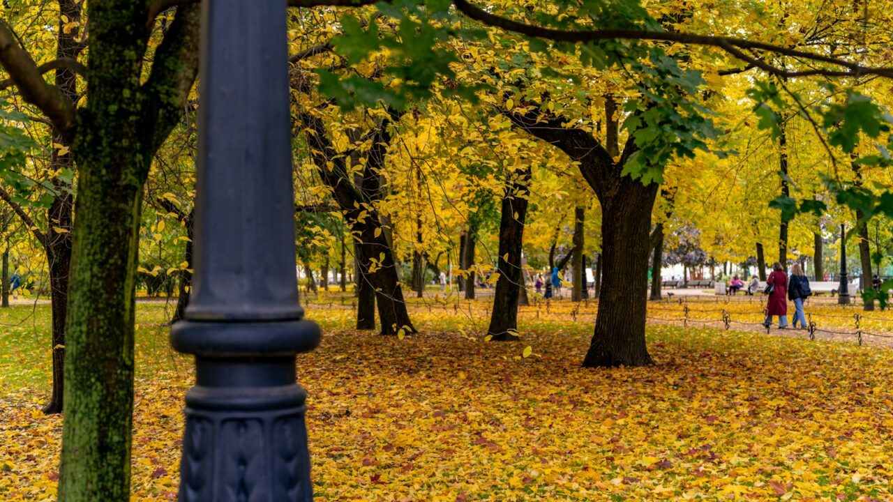 Rudens nuotaikos horoskope: kaip skirtingi ženklai pasitinka vėsesnį sezoną ir randa naują ritmą