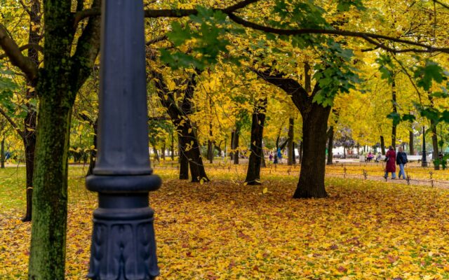 Rudens nuotaikos horoskope: kaip skirtingi ženklai pasitinka vėsesnį sezoną ir randa naują ritmą