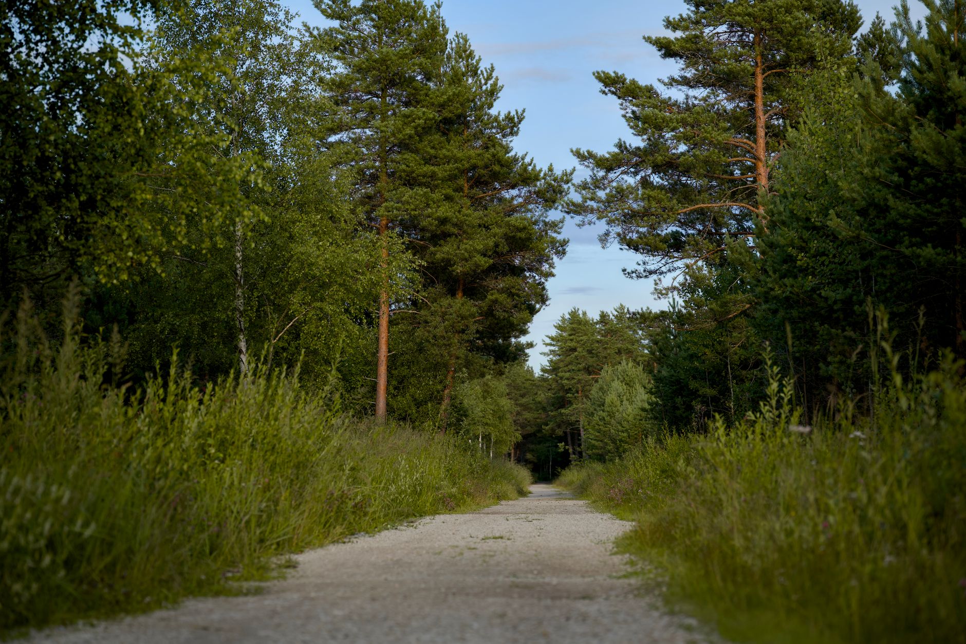 Teminė iliustracija