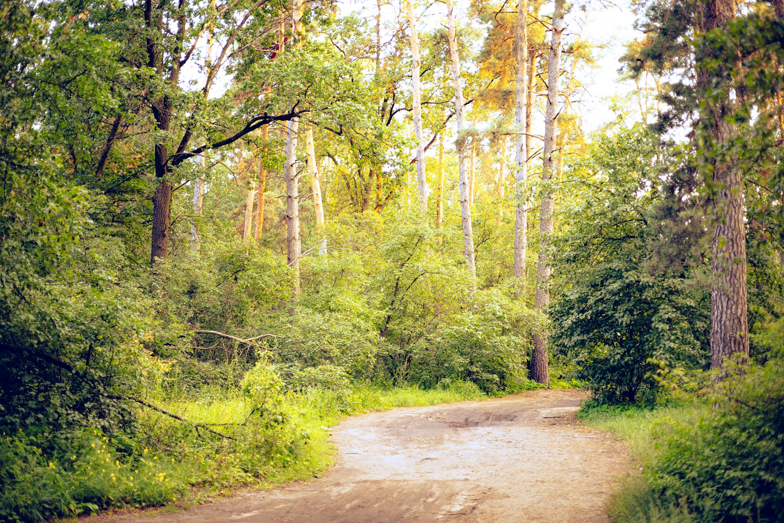 Teminė iliustracija