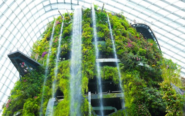 Singapūro eksperimentas su vertikaliąja žemdirbyste: kaip miestas-valstybė kuria maisto saugumo planą ateičiai