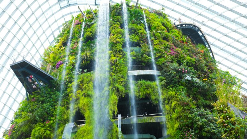 Singapūro eksperimentas su vertikaliąja žemdirbyste: kaip miestas-valstybė kuria maisto saugumo planą ateičiai
