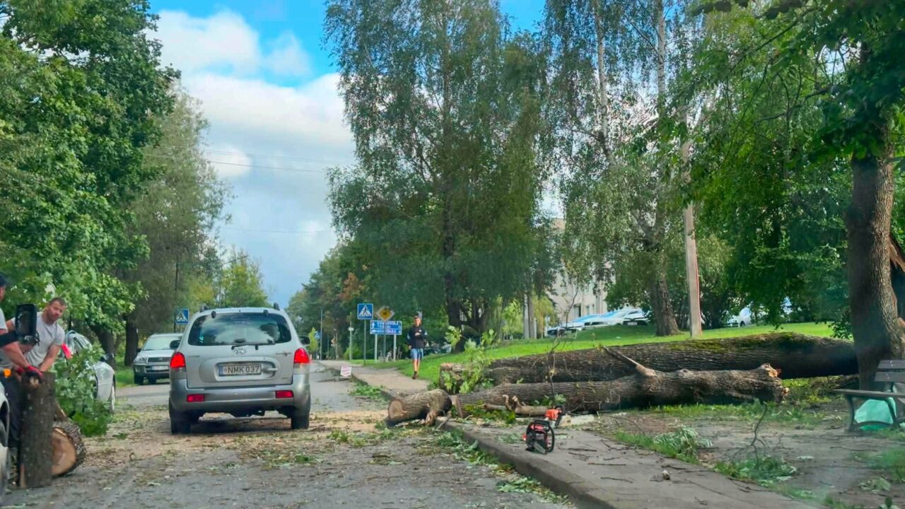 Trakų rajone šimtai gyventojų vis dar be elektros, savivaldybė siūlo pagalbą