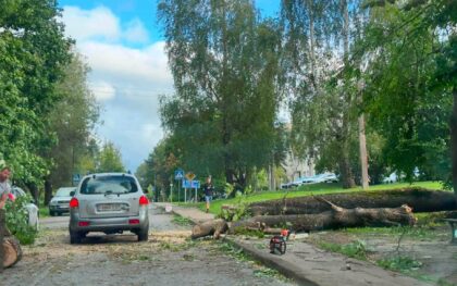 Trakų rajone šimtai gyventojų vis dar be elektros, savivaldybė siūlo pagalbą
